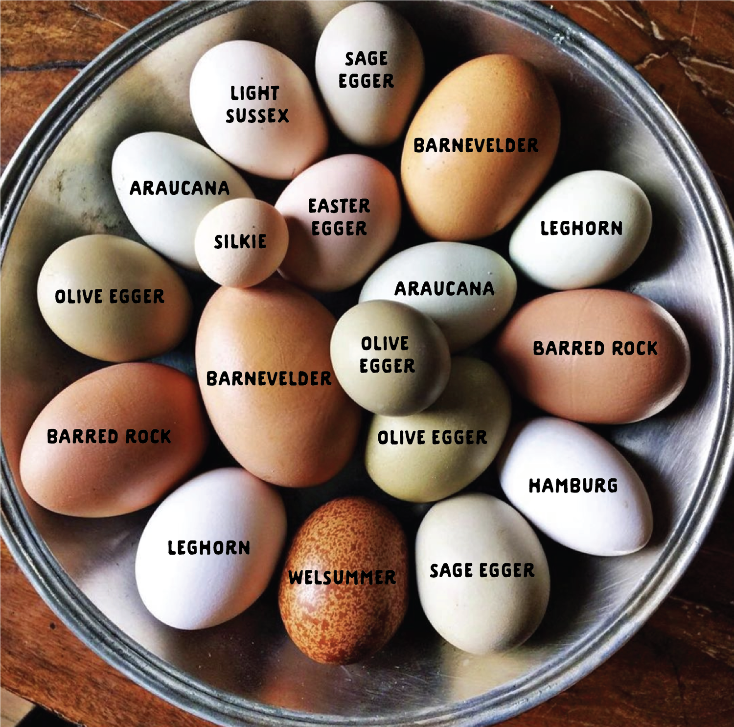 Different color eggs
